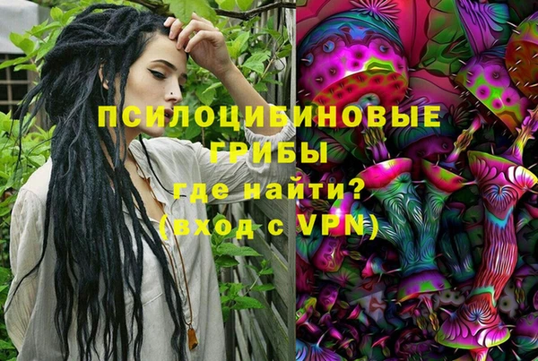 индика Алексеевка