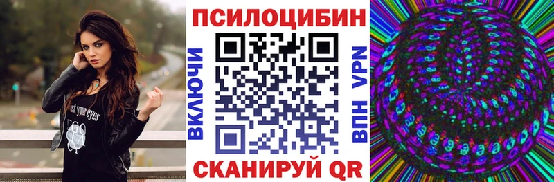 Псилоцибиновые грибы Psilocybe Люберцы